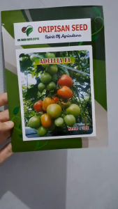 BENIH TOMAT ADELLIA F1 TOMAT KECIL ORIPISAN SEED