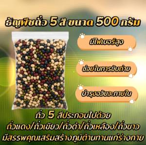 500.กรัม ถั่ว 5 สี ถั่วดำ /ถั่วเขียว/ถั่วแดง/ถั่วขาว/ถั่วเหลือง มีประโยชน์หลากหลายช่วยลดน้ำหนักช่อยให้อิ่มนานช่วยลดอาการท้องผูก