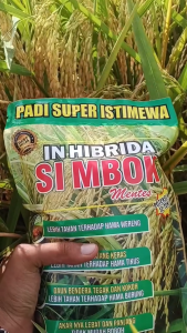 Simbok padi mentes real 1 Kg di formulasikan khusus untuk HASIL PRODUKSI bibit padi unggul