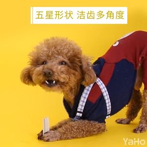 【Buy 1 Give 3】210g My Nutrition Assorted Dog Dental Sticks Dentastix Dentastick Pet Dog Snack Pet Dog Treats