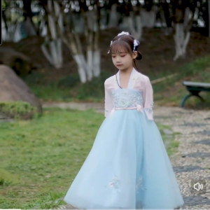 Hanfu Traditional Chinese costume girls chiffon dress summer dresses children fairy Girl Chinese Racial Harmony Chinese New Year Ethnic han fu DS02