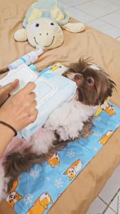 Gentle Paws Pet Wipes Hypoallergenic Pet Grooming Wipes Pet Body Cleaning Wipes Alcohol Free Pet Wipes