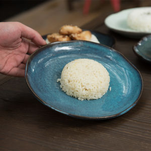 Creative Ceramic Western Dinner Plate Nordic Steak Plate Home Use Pasta Plate Cover Rice Plate Small Snack Plate