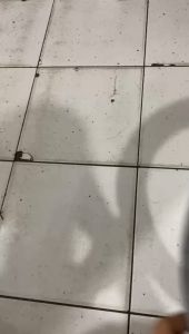 Ban Dalam Sepeda Ukuran 12" 16" 18" 20 Plus 24" 26" 26X13/8 27.5 29" Branded MAXXIS CST United Swallow Kenda WandaKing