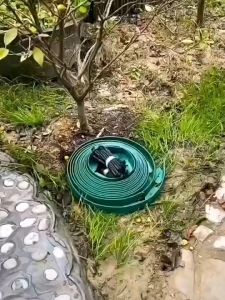 แถบแยกหินหญ้า เครื่องมือยึดปูสวน รั้วสวน แถบแยกเข็มขัดสีเขียวสวน พาร์ทิชันหินหญ้า