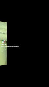 กำมะถัน มาด มาดผง มาดก้อน กำมะถันแท่ง sulfur กำมะถันก้อน ราคาบริบท 500 บาท