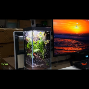 BSFH Rainfall Tank Ecological Micro-Terrarium Aquarium(碧水风和雨落雨林缸)