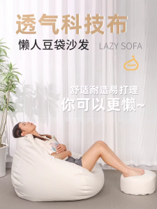 Modern Minimalist Large Extra Large Lazy Sofa Spring Teasing Brand Tech Cloth Washable Art Style for All Universal Use