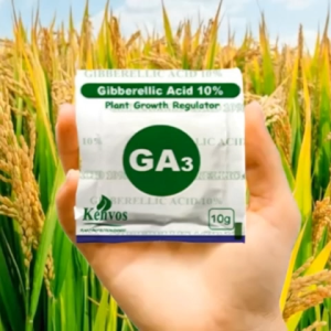 GA3 Plant Growth foliar Gibberellic Acid 10%Tablet 10g gibberellic for RICE CULTIVATION