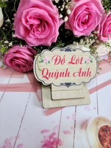 COMBO 10 QUẦN Coton thái siêu mềm mịn thấm hút mồ hôi tốt co giãn 4 chiều mã (3012) Size :50 - 65 KG  - Đồ Lót Quỳnh Anh