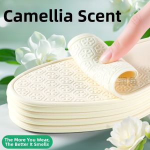 JVBV | Long Standing Comfort Breathable Anti-Sweat Deodorant Shoe Insoles