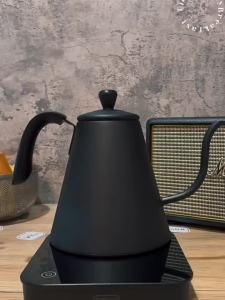 ernte | Electric Kettle with Gooseneck Spout and Thermostat Black