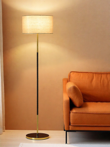 DGY | Luxurious Modern Simple Floor Lamp