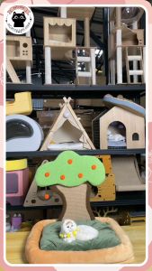 ❤️ต้นไม้+แอ่งนอน ที่ลับเล็บแมว บ้านแมว ที่นอนแมว นุ่มฟู ขนาดใหญ่ 64x52x60cm❤️