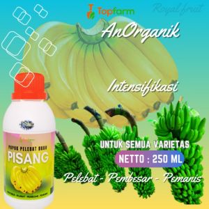 Pupuk Pelebat Buah Pisang / Pupuk Buat Tanaman Pohon Pisang / Pupuk Cair Buat Pohon Pisang / Pupuk Buat Pohon Pisang / Pupuk Khusus Pohon Pisang