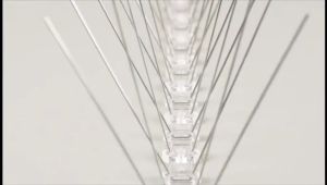 Anti Bird Spikes Stainless steel Anti Climb Spikes Fence Spikes Bird Cat Prickle Strips