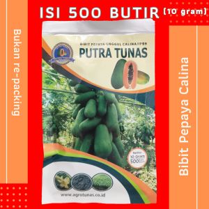 Bibit pepaya Calina isi 500 butir (10 gram) - PUTRA TUNAS