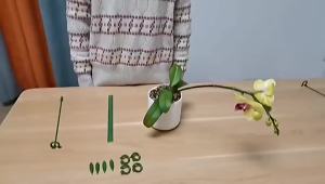 5/10PCS Plants Support Rod Reusable Fixed Stick for Plants Stand Support Flower Vine Climbing Bracket Gardening Accsesories