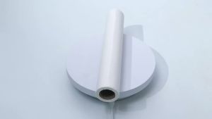 New White Translucent Cicada Wing Paper Extra Thin Ancient Style Mica Ripe Xuan Paper Long Roll Calligraphy Practice