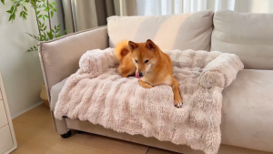 Fuzzy Dog Sofa Bed Mat Detechable Washable Plush Couch Cover for Dog Furniture Protector Pet Sofa Mat for Dogs and Cats Fluffy Cat Couch Bed with Anti-Slip Bottom