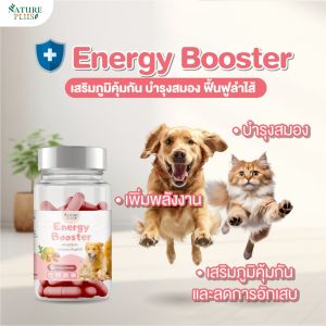 ผลิตภัณฑ์เสริมสร้างความแข็งแรงEnergy Booster สำหรับสัตว์เลี้ยง แบบเม็ด เสริมสร้างภูมิคุ้มกัน บำรุงกระดูกและข้อต่อ