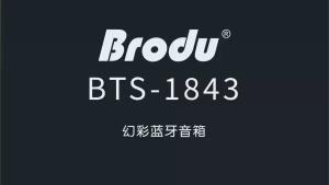BTS-1843 1800mAh 10W RGB Bluetooth Speaker Bluetooth 5.3 AUX Input LED Light Effects High-Quality