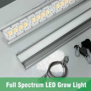 Hunta 80W/160W Waterproof Lens Plant Grow Light Bar AC85-265V LED Indoor Plant Fill Light Vegetable Flower Lighting