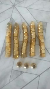 ฝาครอบนมหนูทองเหลือง