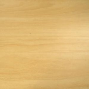 B.F. Memory Foam Sports Insole Shock Absorption Leisure Breathable Mesh Sports Ankle Support