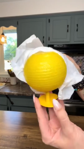 Fruit Fly Trapper Sticky Ball Non-Toxic Reusable Insect Trap Indoor Super Adhesive Fly Catcher