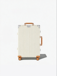 MANLVSHI | Quiet Rolling Lockable 20inch Carry-on Luggage