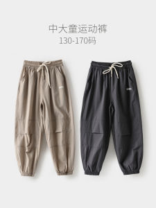 Quick Dry Nylon Sports Pants Loose Fit Casual Thin Long Trousers for Boys Ages 3-14 Spring Summer Autumn Seasonal Wear
