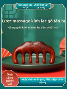 XIAOLIZI | Máy Massage Đầu Kích Thích Huyệt Đạo Và Chải Da Đầu
