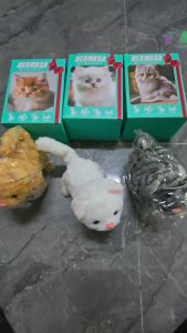 Hot Toys | Electric Walking Meowing Cat Toy - Realistic Plush Pet That Runs 2026 Cute Gift for Kids Electronic Toys Bebes