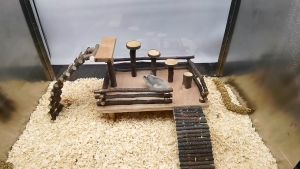 Natural Apple Wood Hamster Fitness Exercise Playground Chew Toys