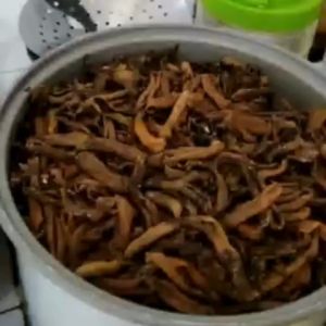 Teripang Laut Kering Tinggi Serat Kemasan 250gr