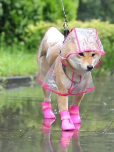 4pcs Pet Rain Shoes Dog Waterproof Shoes Puppy Anti-skid Rain Boots Small Dogs Available