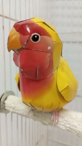 คอนลับเล็บ ยาว 20 ซม. เพียง 29 บาท สีขาว สไตล์มินิมอล เรียบง่าย กลมกลืมกับกรงนก ไม่ฉูดฉาด ไม่แย่งซีนนก มองดูสบายตา แลดูนกสวยขึ้น