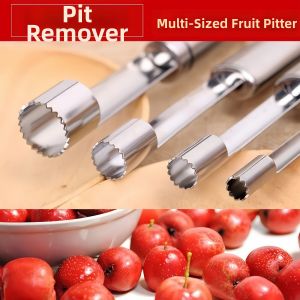 Stainless Steel 304 Fruit Corer