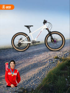 RoyalBaby | Youth Lightweight Racing Mountain Bike