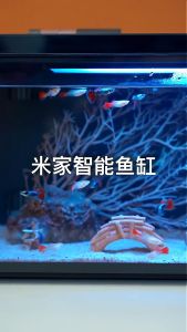 Bể cá thông minh  Mijia miễn phí nửa năm thay nước điều khiển từ xa bằng giọng nói APP cho ăn thường xuyên và định lượng bể cá cảnh