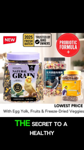 Bird Food  | Jonsanty Premium Food |  Cockatiel  Lovebird and Conure -  Probiotic Formula - 1200ml |  with Cuttlefish Bone & Veggies