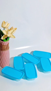 Toples Sealware 10 set Warna Serbaguna Wadah penyimpanan Makanan Food Container Set 10pcs Premium