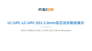 LC/UPC to LC/UPC Duplex OS2 9/125 μm G.657.A1 Fiber Optic Patch Cord 2.0 mm Yellow LSZH 1-20 m 1/5 Pack PHILISUN