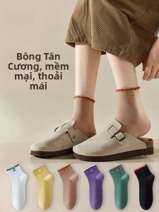 Tất cotton nữ MiiOW dài đến bắp chân thấm hút kháng khuẩn