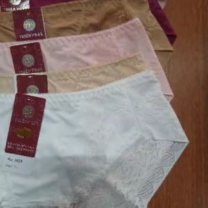 ♥️ Shop Uy Tín ♥️5 quần lót nữ thun lạnh pha ren cao cấp 45kg-62kg [3029]