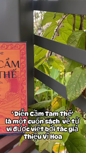 Sách - Diễn Cầm Tam Thế Diễn Nghĩa - Dương Công Hầu - Tiên Phong Books