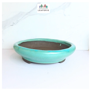 The Leaferie Bonsai (Series 99) plant pots. flowerpot flower pot planter Ceramic