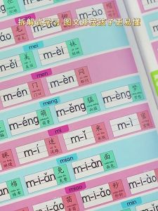 Chinese Pinyin Spelling Training Phonetic Pronunciation Mandarin Sound Book Basic Mandarin Pronunciation Learning