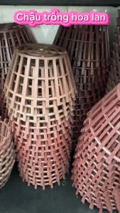 5 cáichậu nhựa trồng lan nhiều size lựa chọn trồng hoa lan